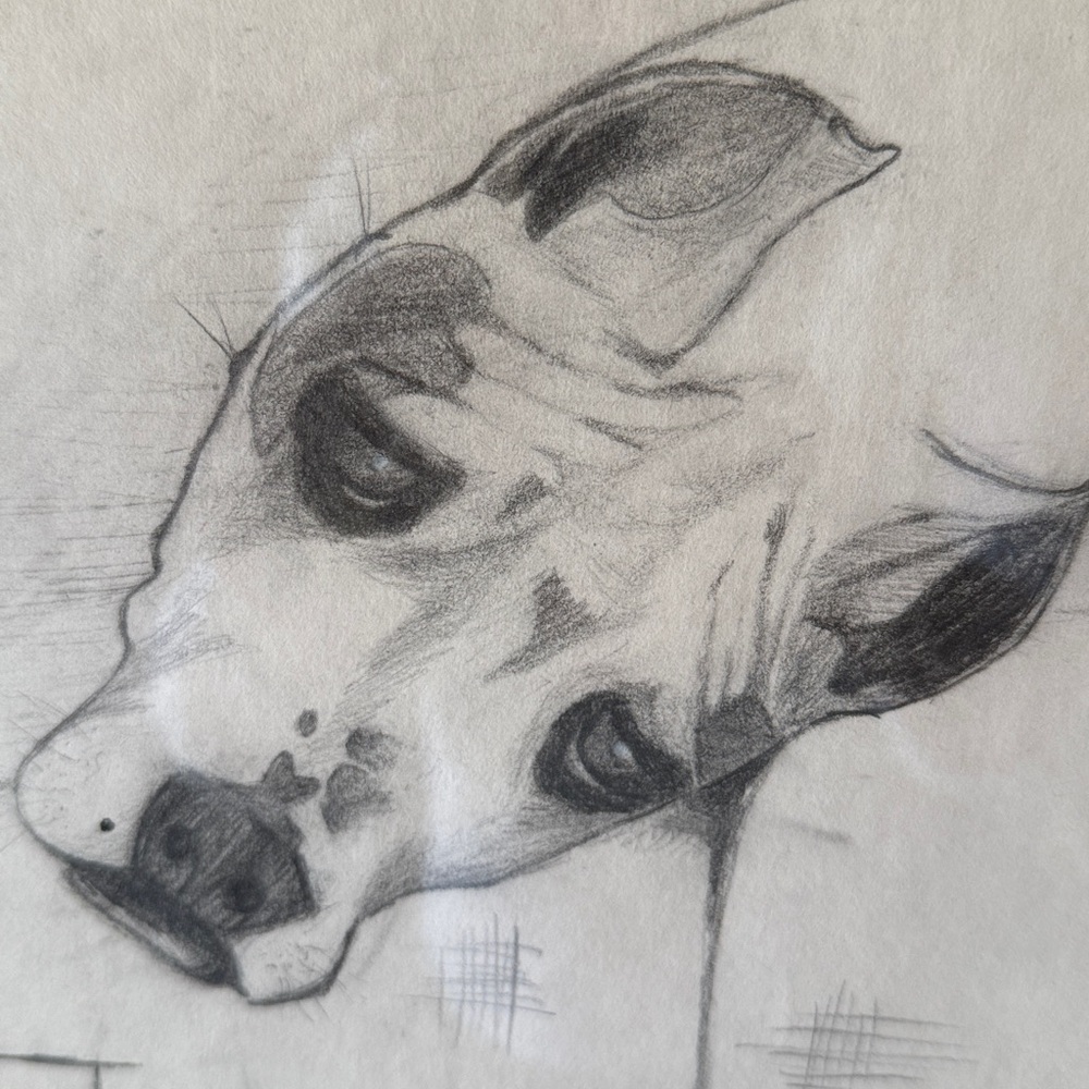 90’s pencil sketch of “Luke”